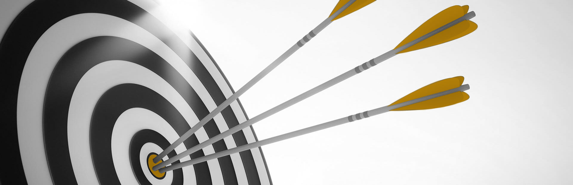 Agile project management