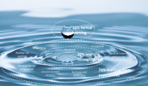 70-20-10 illustration