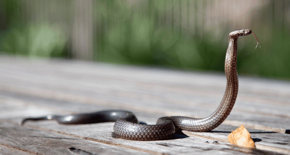 Developing a better understanding of project benefits