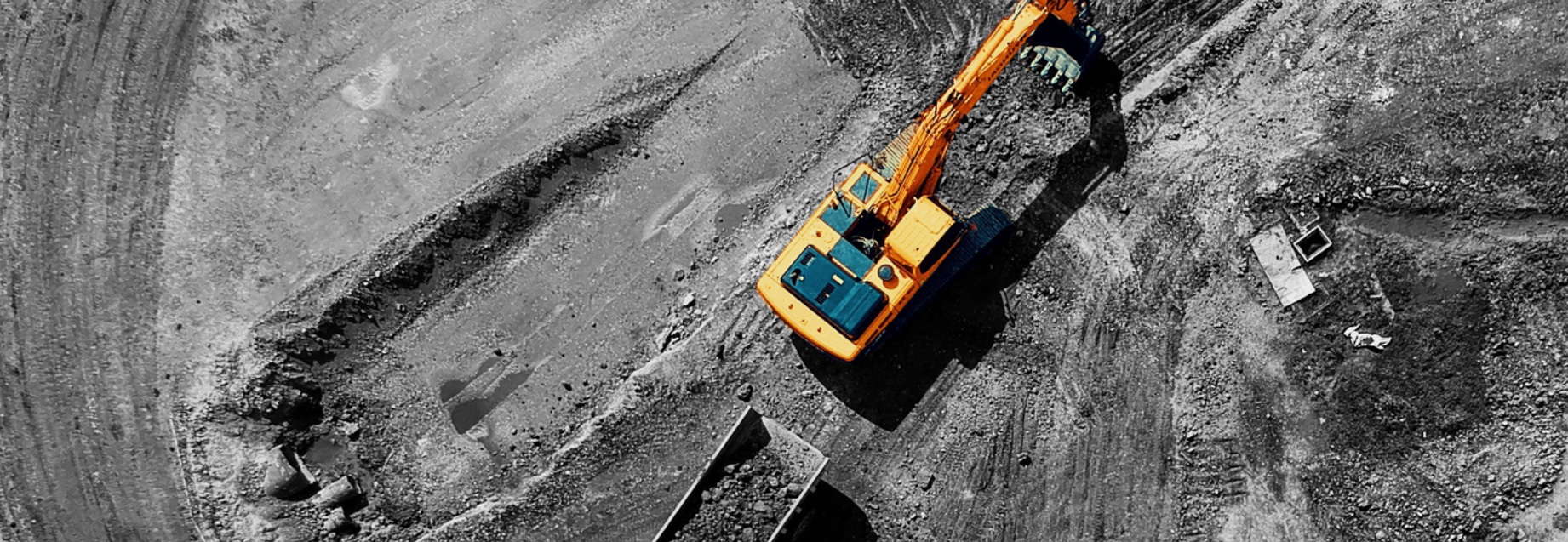 Corporate capability development