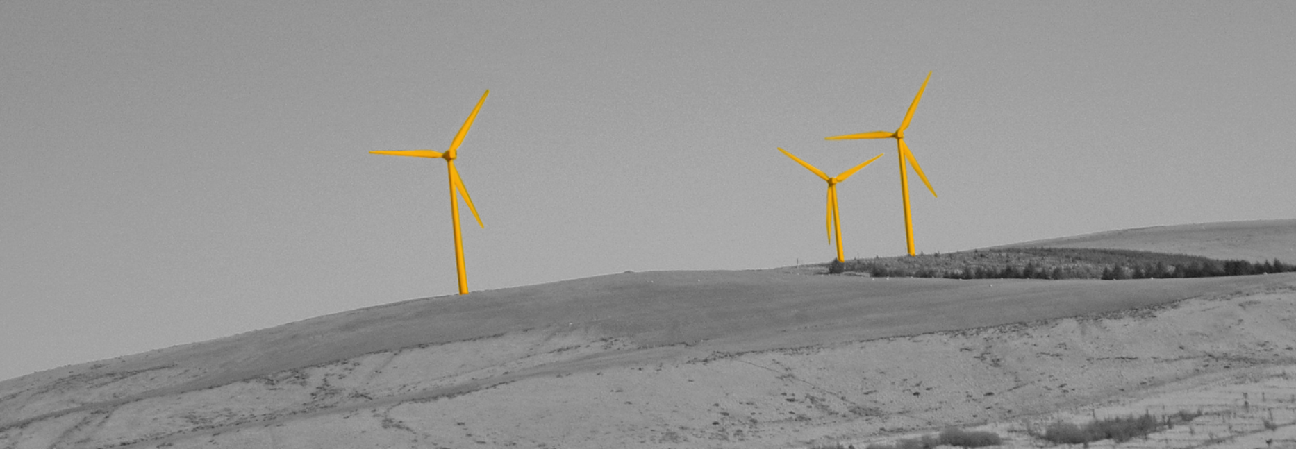 Sustaining and management of change